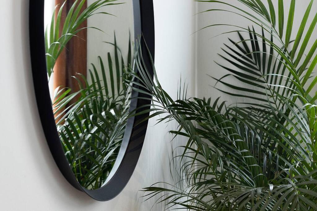 Trevisohome Fuori Mura Экстерьер фото